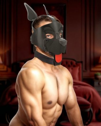 Alpha Dog Pup Hood